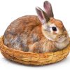 6 Packs Woven Straw Bird Nests, 8" Handmade Flat Base Spawning Nest, Small Animal Breeding Bed Hatch House Cage Accessories for Dove Pigeon Parrot Cuckoo Sparrow Rabbits Chinchillas Hamster-7