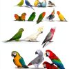SIMENA Bird Blanket for Cage, Corner Fleece Bed for Birds, Cozy Bird Warmer, Parrot House for Cage, Cuddle Nest Hanging Toy for Lovebirds Parakeet (Medium)-6