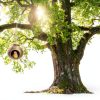 Natural Coconut Shell Nest kathson G-shaped Habitat with Spoon & Toys-1