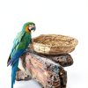 6 Packs Woven Straw Bird Nests, 8" Handmade Flat Base Spawning Nest, Small Animal Breeding Bed Hatch House Cage Accessories for Dove Pigeon Parrot Cuckoo Sparrow Rabbits Chinchillas Hamster-6