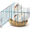 6 Packs Woven Straw Bird Nests, 8" Handmade Flat Base Spawning Nest, Small Animal Breeding Bed Hatch House Cage Accessories for Dove Pigeon Parrot Cuckoo Sparrow Rabbits Chinchillas Hamster-4