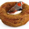 SunGrow Finch Coconut Fiber, Loose Bedding Substrate for Birds Nest Cages, Nesting Material for Budgie Hummingbird Canary Parakeet, 3 oz-1