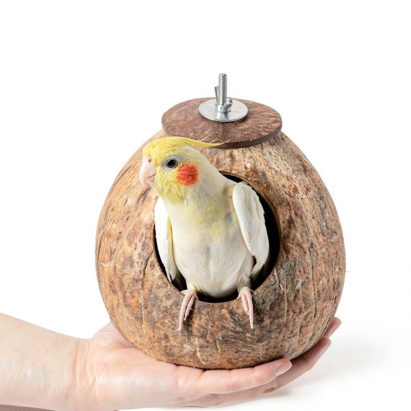 Bird Nest Coconut Shell House 2 Pack by AHBLQD for Parakeet Breeding-1
