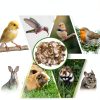 Bird Nesting Material - Hummingbird Nesting Material - Mixing Parakeet Nesting Material - Nesting Bedding for Finches Canary Wild Birds Ideal for Cage Gardens Tree Trunks - Bird Nest Supplies 3.6 oz-2