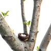 GXXMEI 24PCS/Set Small Faux Bird Nest with Eggs for Crafts, Artificial Rattan Birds Nest for Easter Wedding Home Party Christmas Tree Decoration (8pcs Mixed Small Size Nest, 16pcs Eggs)-3