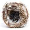 Bird Nesting Material, Hummingbird Nesters, Natural Alpaca Wool Material ​for Wild Birds, Design for Bird Lover Gifts, Nesting Balls for Wild Birds, Refillable Outdoor Birds Nesting Station-3
