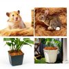 Premium Coconut Fiber Bird Nesting Material Cedar Alpha CA3039 40g-3