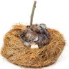 Premium Coconut Fiber Bird Nesting Material Cedar Alpha CA3039 40g-7