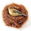 Premium Coconut Fiber Bird Nesting Material Cedar Alpha CA3039 40g-5