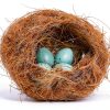 Premium Coconut Fiber Bird Nesting Material Cedar Alpha CA3039 40g-2